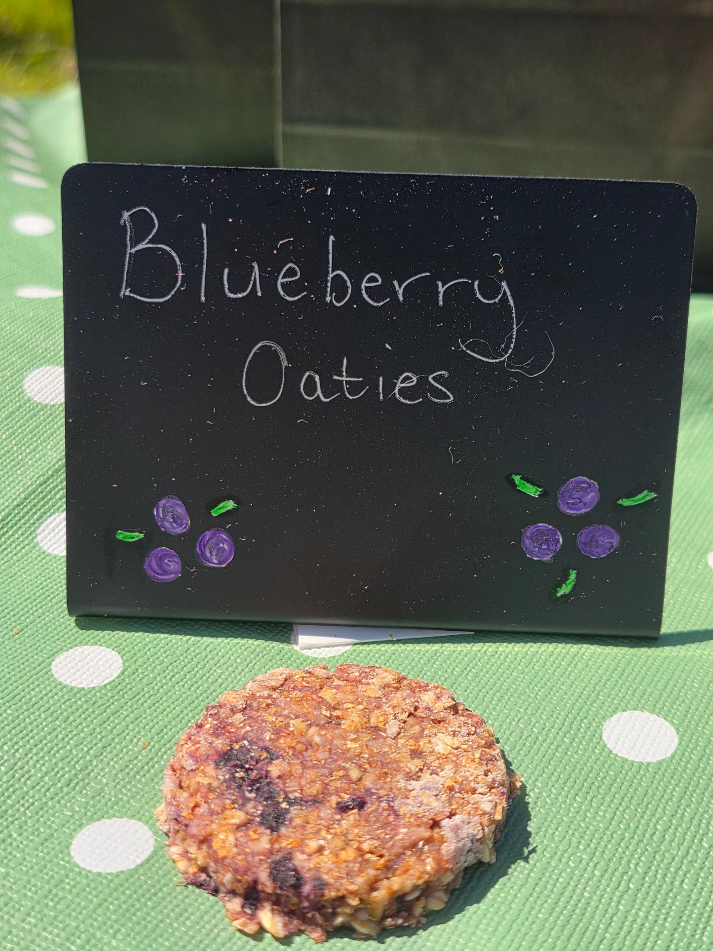 Blueberry Oaties
